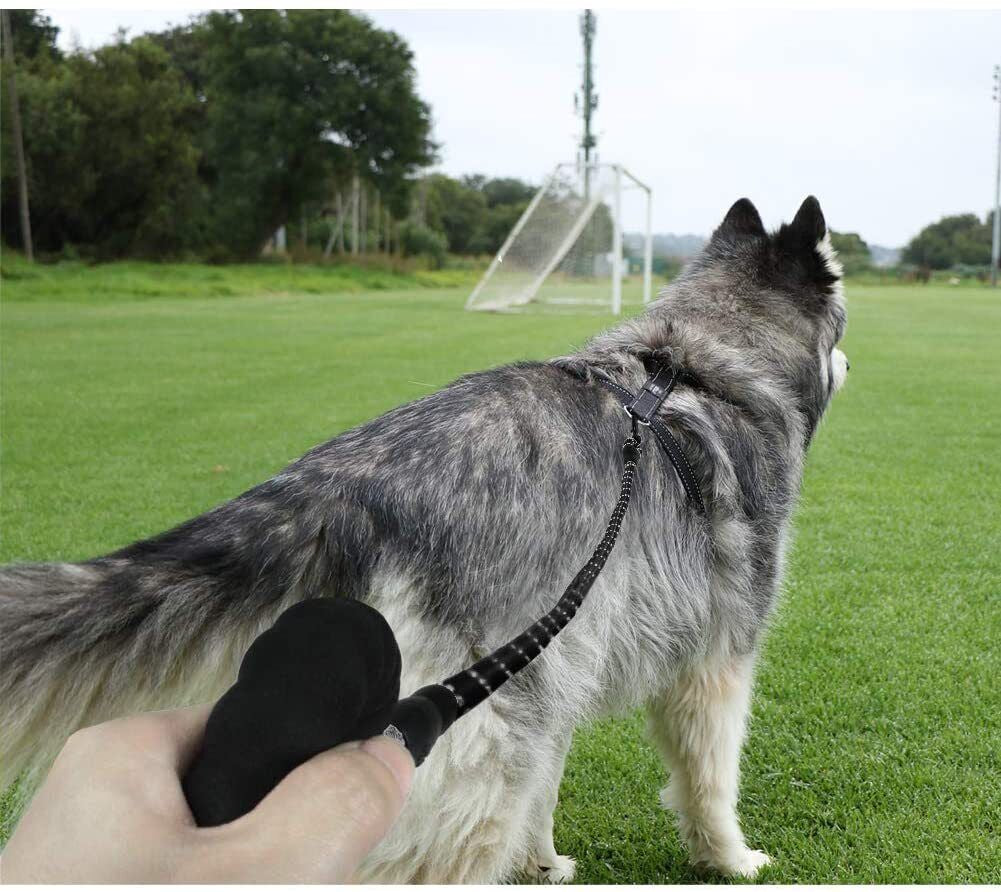 5FT Braided Rope Dog Leash - Strong, Reflective, and Comfortable for Medium to Large Dogs